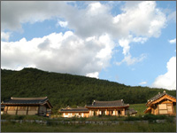 영천이씨 농암종택