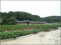 진성이씨 번남댁