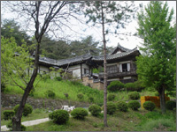 안동김씨 태장재사