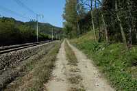 효자 금홍달이 지은 연꽃 가득한 정자