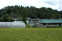 영남에서 가장 큰 안채