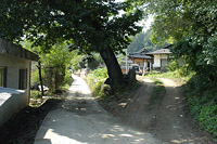 형과 아우, 노론과 소론