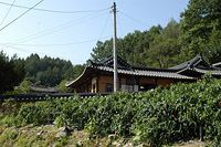 형과 아우, 노론과 소론