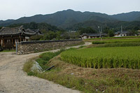 돌담으로 이루어진 오록마을