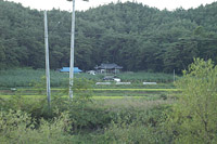 소나무 숲에 둘러싸인 정자