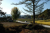 허물어져가는 딱한 모습의 옛집