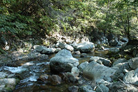 열목어의 서식지 백천계곡