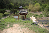 청운리 정효각(旌孝閣)