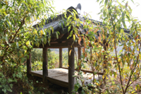 관수정(觀水亭) 