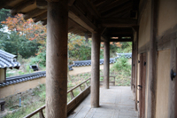 용산정사(龍山精舍)