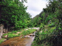 천연대(天然臺)