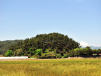 임해대(臨海臺)