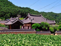 우계종택(愚溪宗宅)