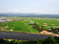 관어대(觀魚臺)