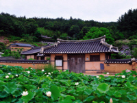 영해경주댁(寧海慶州宅)