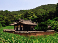 흥교당(興敎堂)