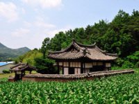 흥교당(興敎堂)