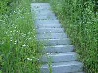 안리의 은둔처, 서파정