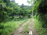 황준량을 기리는 금양정사