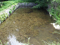 황준량을 기리는 금양정사