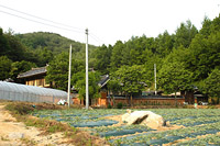 종릉을 수호하는 집