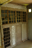 솔숲 속의 괴정