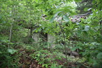 도은정(島隱亭)