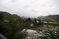 광록정(廣麓亭)