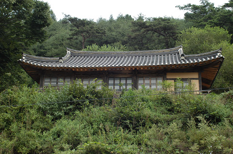 올려다 본 정면 전경