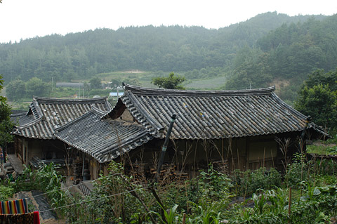 오른쪽 측면 뒤 전경