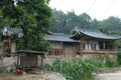 정면 전경